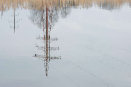 reflection of a high voltage tower in the water against the background of reeds