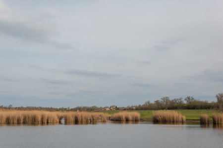 village landscape of the river with reeds. against a cloudy sky.の写真素材
