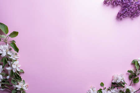 flatlay of branches of white inflorescences of cherry and lilac on a pink background top view.の写真素材