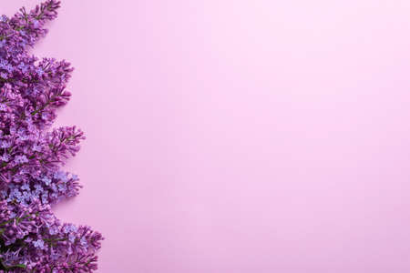 Branches of lilac on pink background. White and purple lilac. Romantic spring mood. Top view. Copy for your text - Image.の写真素材