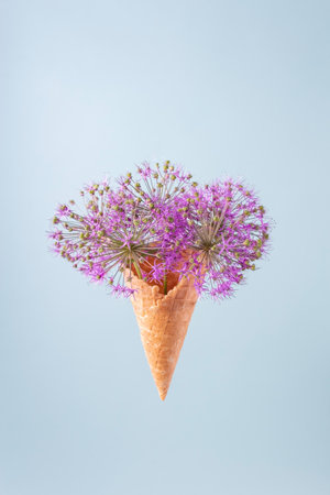 round purple flowers in a waffle cup from an ice cream on a blue background. minimalistic summer concept.の写真素材