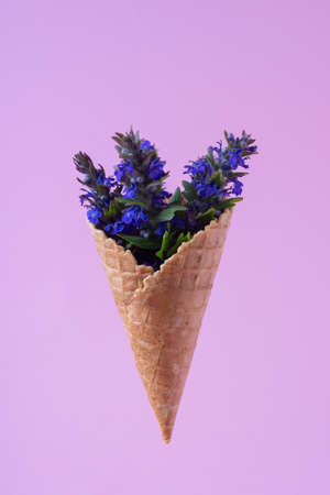 blue wildflowers ice cream on pink background minimalistic concept.の写真素材