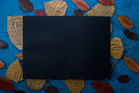 autumn blue still life with dry leaves and black frame.の写真素材