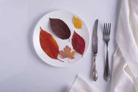 creative autumn concept canteen table setting autumn leaves on a plate on a white background.