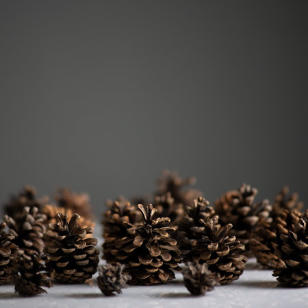 New Years still life forest of pine cones on a white-gray backgroundの写真素材