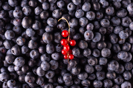 Red berries pattern isolated on a white background. Strawberries, blueberries, raspberries, red currant fruits. Creative fruit food concept. Flat lay texture.の写真素材