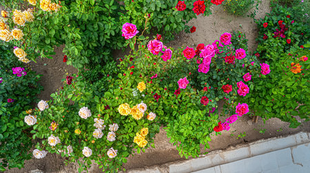 Colorful flowers in the shopの素材