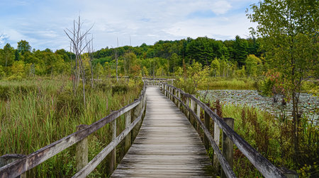 Bridge over river at sunset landscape wooden bridge over river, pier at sunset.の素材