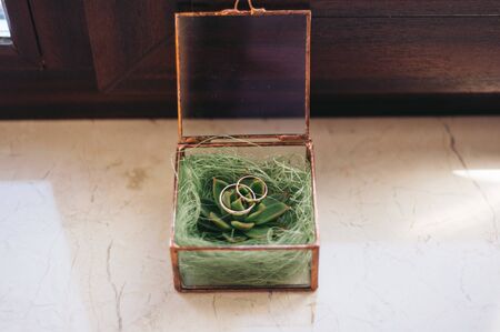 Glass box with golden wedding rings and green succulent on the window