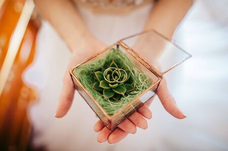 Bride holds a glass box with golden rings and succulents
