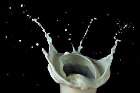 milk splash on black backgroundの写真素材