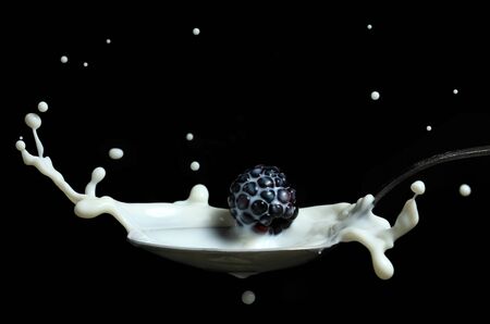 blackberry splashing into milk in the spoon on black backgroundの写真素材