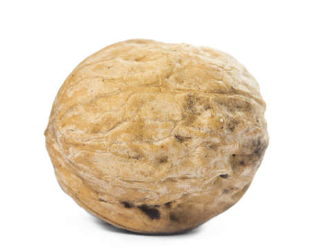 walnuts close up