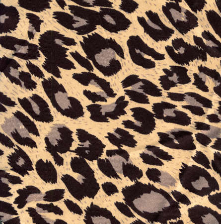 leopard fur as backgroundの写真素材