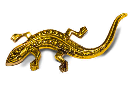 gold  metal lizard shape jeweleryの写真素材