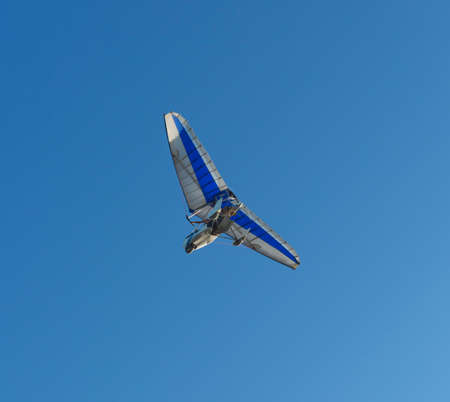 gliders flying in the sky