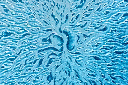 Hoarfrost textured background