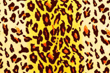 leopard backgrounds patternの写真素材