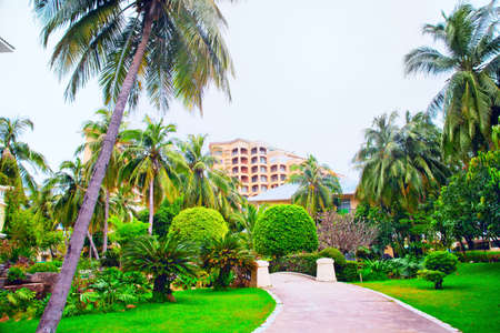 park  garden landscapeの写真素材