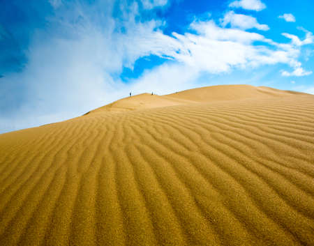 Desert landscape panorama dunesの写真素材