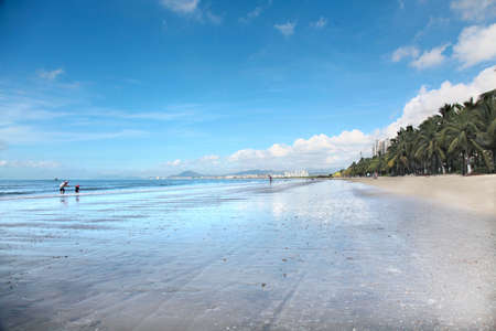 palm beach paradise coastlineの写真素材
