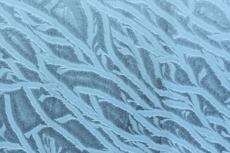 Hoarfrost texture as backgroundの写真素材