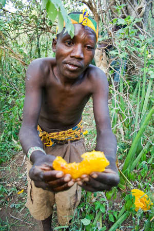 LAKE EYASI, TANZANIA - FEBRUARY 18: An unidentified man from Hadza tribe shares honeycomb with other people in the bush, on February 18, 2013 in Tanzania. Hadzabe tribe threatened by extinction.のeditorial素材