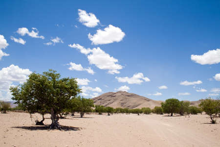 Namibian landscapeの写真素材