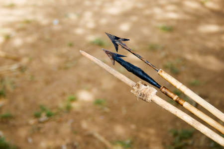 Different poisoned arrows used for hunting by the Hadzabe tribe. Hadzabe tribe threatened by extinction.の写真素材