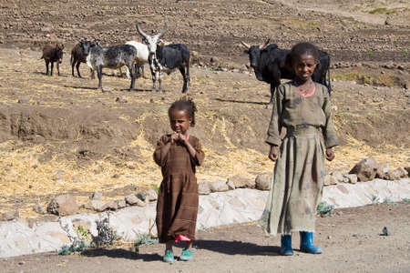 AXUM, ETHIOPIA - FEBRUARY 20, 2010: Two unidentified sisters hesitate to cross the road in Ethiopia.In the background there is cattle.のeditorial素材