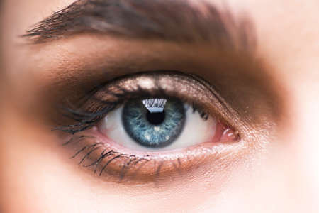 macro photo of the young woman's eye.の写真素材