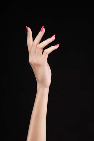 Closeup image of beautiful woman hand with pink manicure on the nails. Cream for palms, manicure and beauty treatment. Elegant and graceful arms with slender graceful fingers. Copy space. Isolated on black.の写真素材