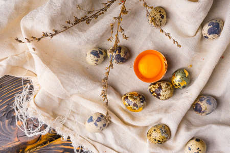 Yolks of broken chicken egg in eggshell and several chicken and quail eggs decorated with dried branches on vintage style wooden table covered with crumpled sackcloth. Commercial design.の写真素材