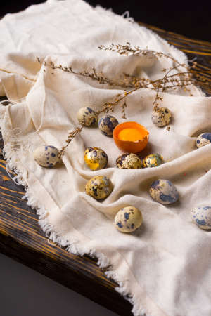 Yolks of broken chicken egg in eggshell and several chicken and quail eggs decorated with dried...