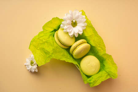 Three green pistachio macaroons cakes in a gift box with green wrapping paper with buds of white flowers gerbera or chamomile. Copy space. Bakery, cooking, gifts, conceptual and advertising.の写真素材