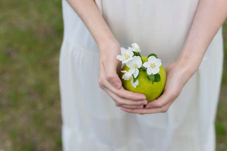 The hands of a teenage girl wearing a white dress are carefully kept by a green apple with white flowers blooming apple trees. Copy space. Conceptual and commercial design.の写真素材
