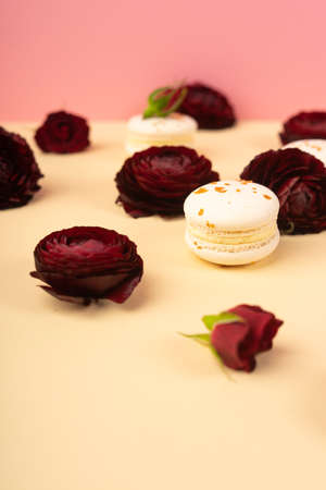 Three white macaroons cakes artfully laid out among the buds of dark red burgundy roses on a yellow and pink background. Copy space. Bakery, cooking, gifts, conceptual and advertising.の写真素材