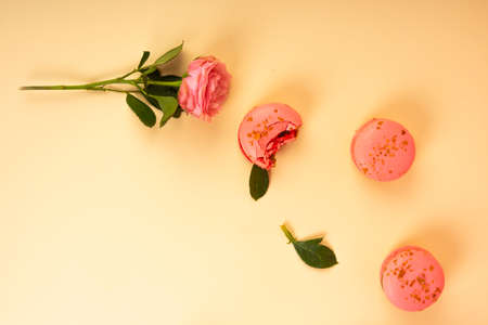 A pink cake macaroon, one of which is bitten on a pink background and a pink rose flower. Copy space. Bakery, cooking, gifts, conceptual and advertising design.の写真素材