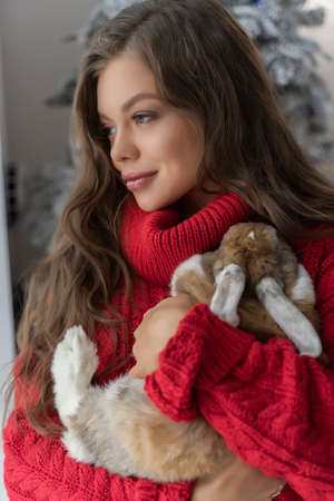 Beautiful leggy young girl, wearing red sweater and wool socks stays at the window and gently holds a rabbit in her hands in christmas interior. Commercial and advertising design. Copy space.の写真素材