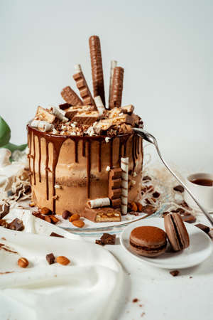 Chocolate cake decorated with various cookies and nuts on a glass plate and macaroons. Food photography. Advertising and commercial close up designの写真素材
