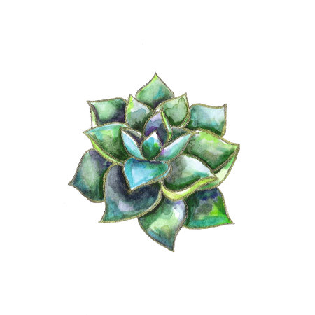 A detailed watercolor drawing of exotic desert flora, cacti, agave, aloe plants, organic contours, vibrant jewel-toned colors, symmetrical compositionの写真素材