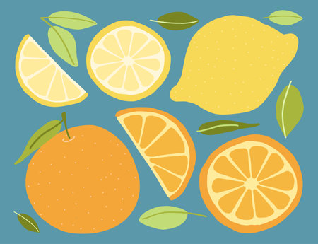 Colorful citrus fruit and leaf illustrations on blue, featuring whole and sliced oranges and lemons in a clean, flat design.のイラスト素材