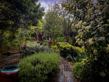 Rustic garden scene with trees, grass, wheelbarrow, countryside foliage, hedge, and vibrant natural growth in a tranquil spaceの写真素材