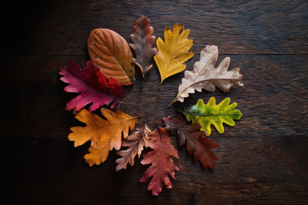 Colorful autumn leaves in a circular arrangement on rustic wood create a vibrant seasonal flatlay rich in texture, foliage detail, and natural harmonyの素材