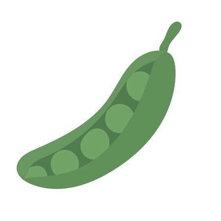 Flat green pea pod packed with round peas, perfect for agriculture icons, garden-themed designs, or educational vegetable illustrationsのイラスト素材