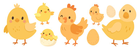 Vector illustration isolated for baby chicken cartoon and animal cute design. Easter nature farm for...