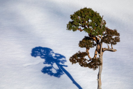 Winter In Mongolia Is Cold But Incredibly Beautifulの写真素材