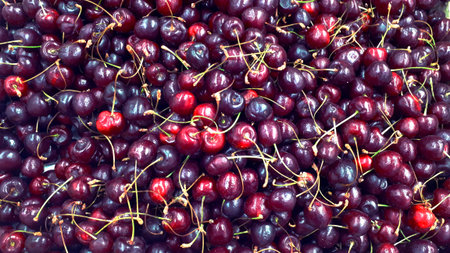 Fresh ripe cherries background. Top view. Close-up.