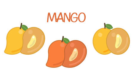 Mango Flat Icon Set. Set Of Mango Vector. Yellow and Orange Mango. Sliced Mango. Fresh Tropical Fruitのイラスト素材