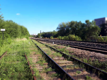 View From Lawn And Ground Of Train Tracks In Summer. Railroad Track In Perspective On Blue Sky